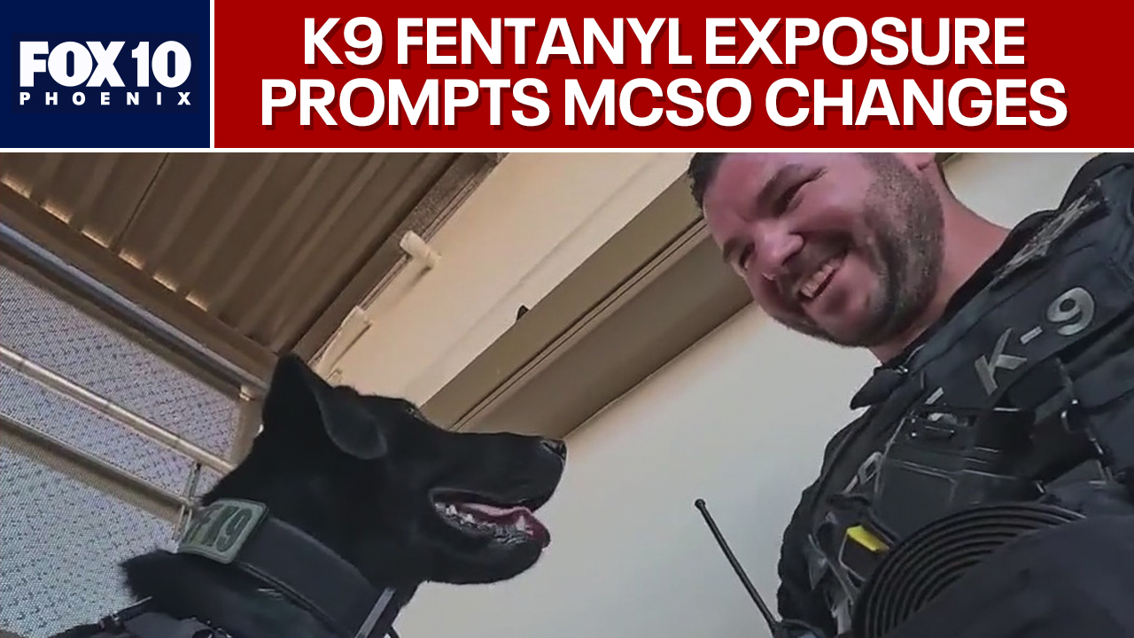 MSCO making changes after K9 is exposed to fentanyl