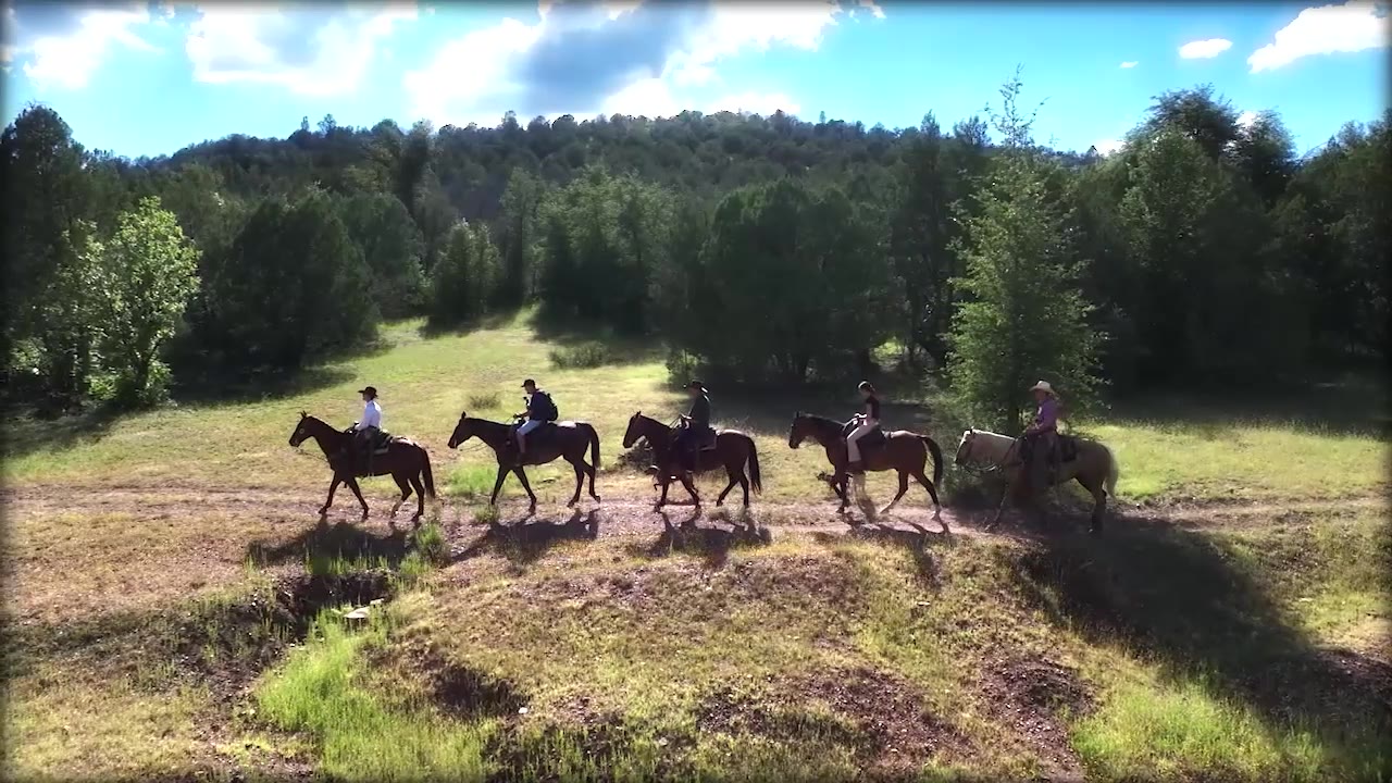 I want to be a cowboy | Drone Zone