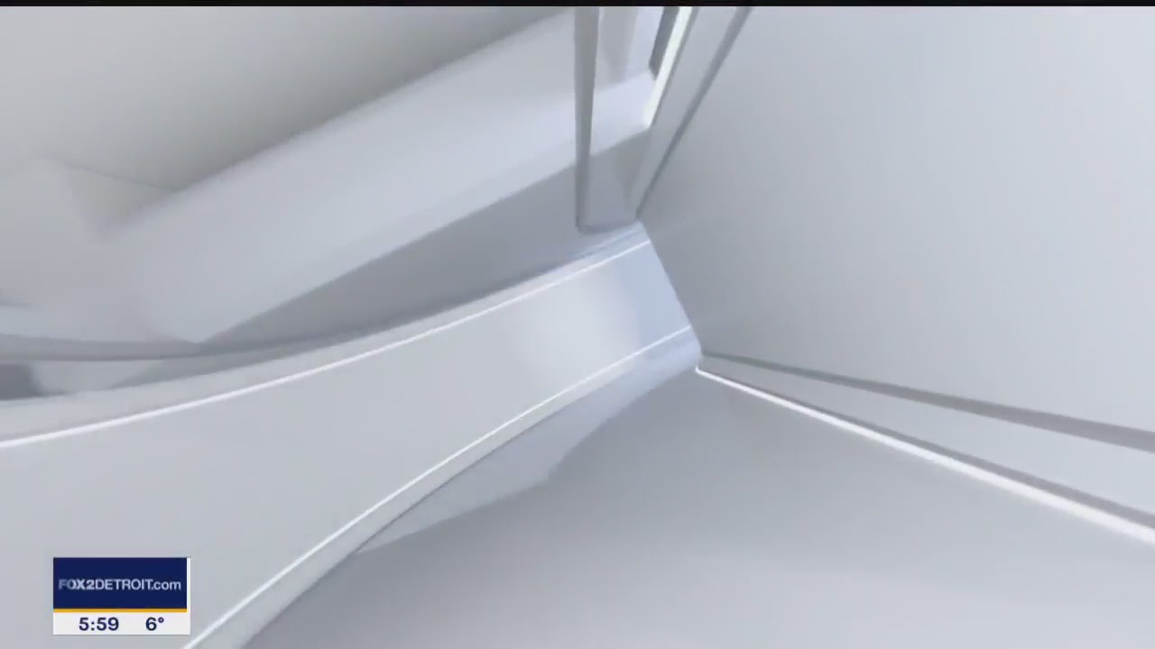 FOX 2 News Morning jan 31