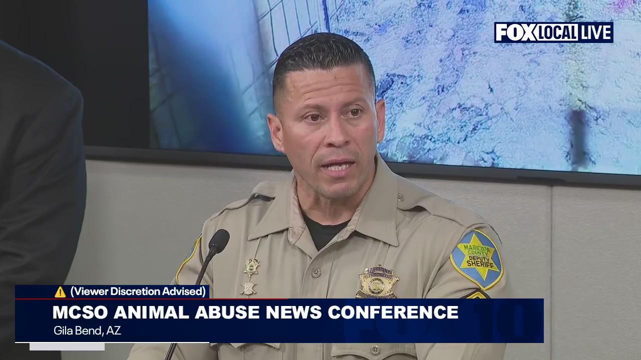 MCSO announces major animal abuse arrest | Full video