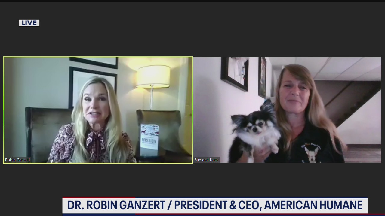 2020 American Humane Hero Dog Awards