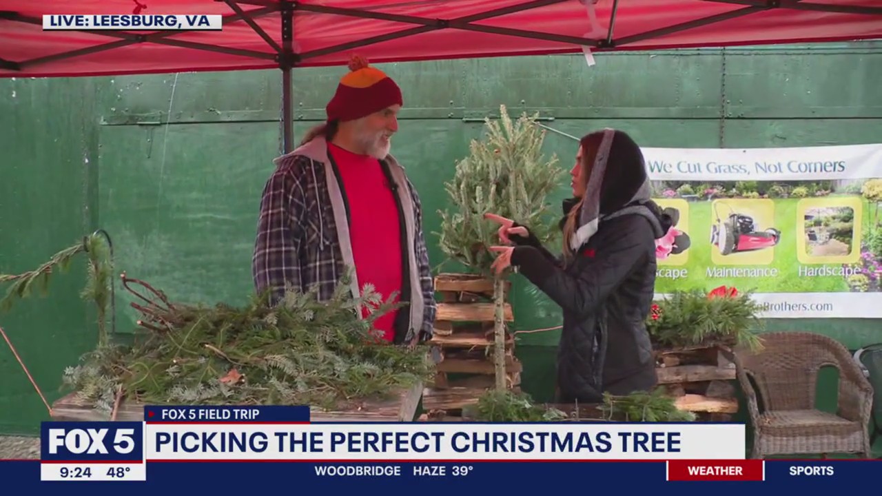 Nothing says Christmas quite like the perfect tree | FOX 5 DC