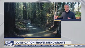 Quiet travel trend grows as more people seek digital detox vacations