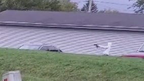 Racine police seek to ID shooter caught on cam