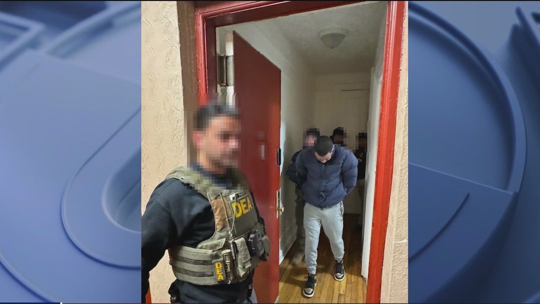 Dozens arrested in ICE raids in NYC