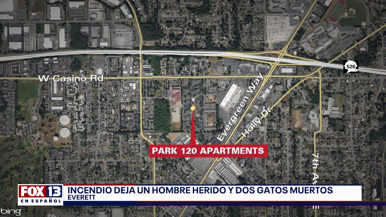 Últimas noticias con el noticiero FOX 13 Seattle: Jueves, 12 de diciembre