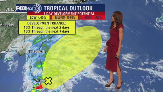 Tropical Weather Forecast - November 15, 2023