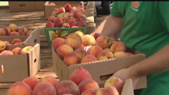 Whystle app personalizes recall information for users