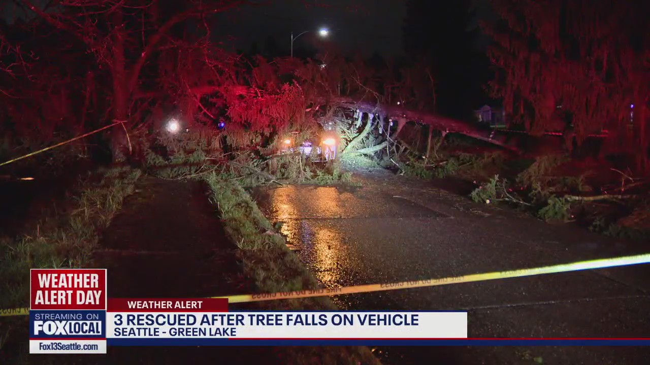 Tree falls onto car in Seattle, trapping 3