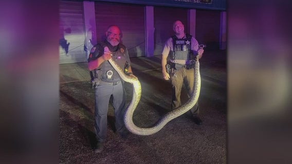 Only in Florida: Sept. 26, 2025