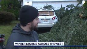 West Coast Wrap: January 9, 2024