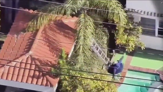 Would-be bandit takes an unscripted swim at Beverly Hills home