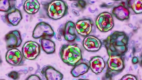 Should adults get boosters for childhood vaccines?