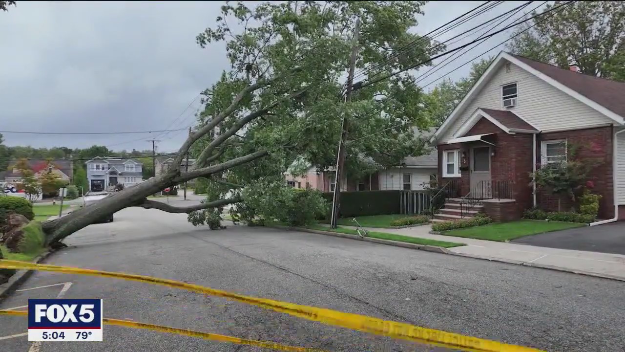 Downed trees, power lines in New Jersey