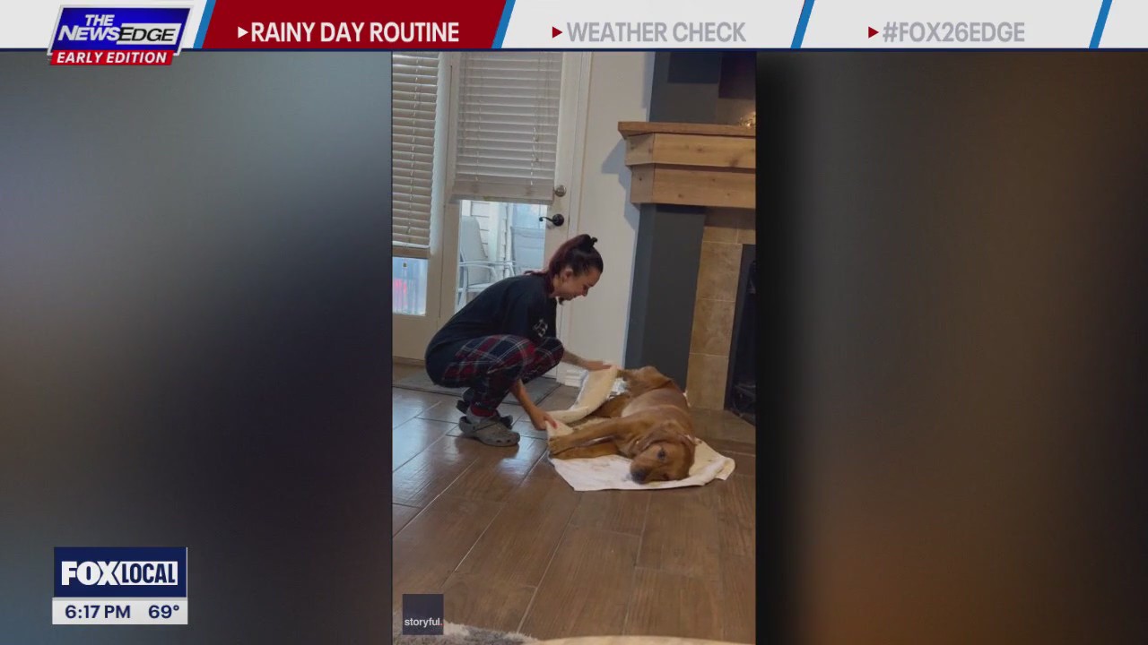 San Antonio dog's rainy day routine