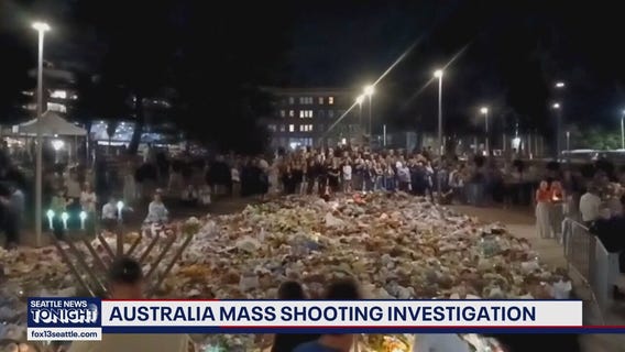 Investigation into Australia mass shooting continues