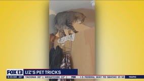 Liz's Pet Tricks for Thursday, January 19