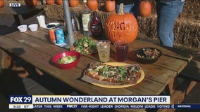 Autumn Wonderland is back at Morgan's Pier