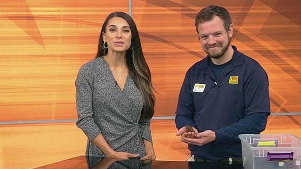 Zoo Atlanta talks about IllumiNights