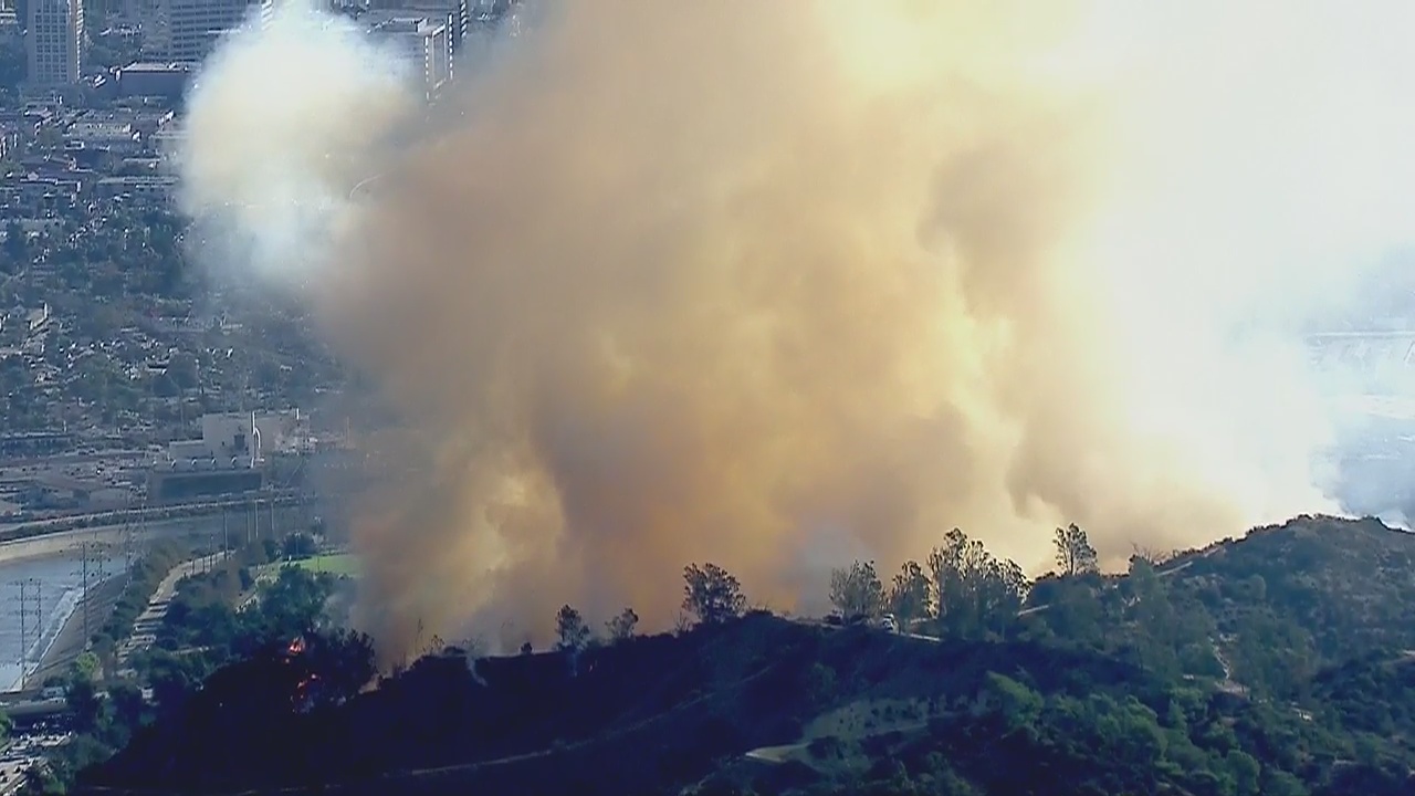 Brush fire breaks out in Griffith Park above LA Zoo