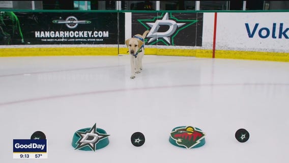 Poppy picks the Dallas Stars to win