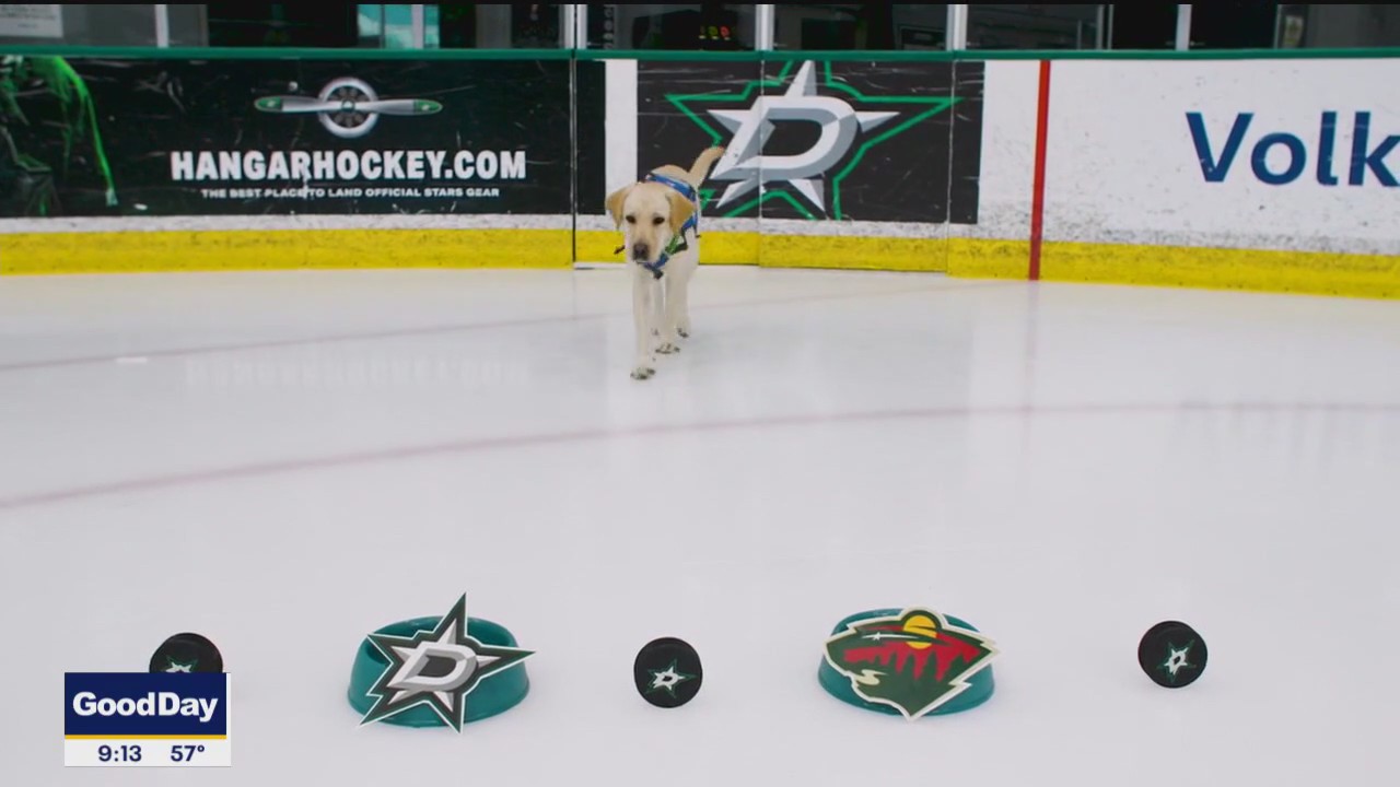 Poppy picks the Dallas Stars to win