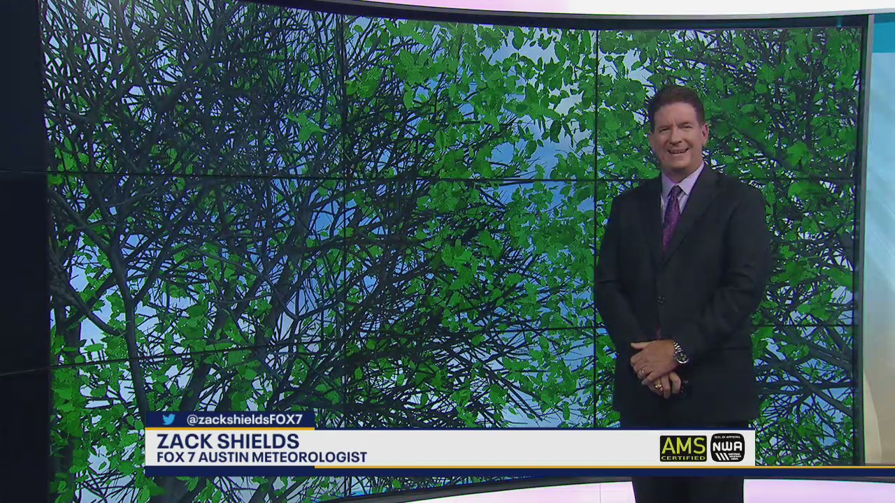 Steamy, uncomfortable temperatures but cooling showers possible