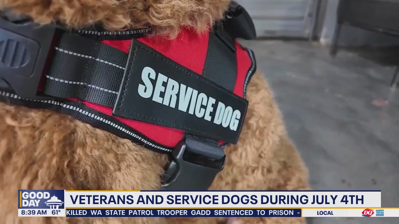 Service Dogs help veterans during July 4th
