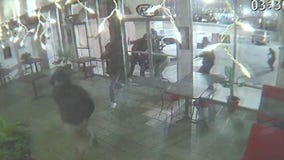 Street takeover leads to South LA break-ins