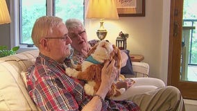 Robotic dogs used to comfort patients suffering from dementia