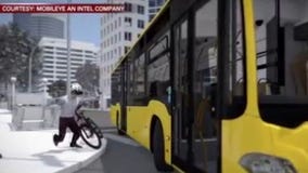 Auto-Ped Collisions remain a problem for Austin