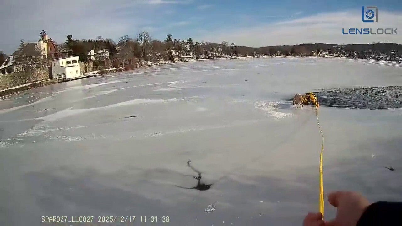 New Jersey police officer rescues dog trapped on frozen lake
