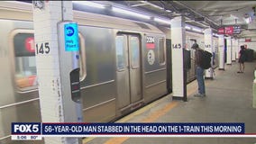 Man brutally stabbed in the head on subway