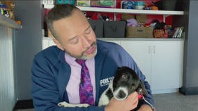 FurEver Home: September 4, 2022