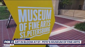 Charley takes us to Art In Bloom in St. Pete