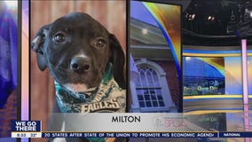 FurEver Home: February 5, 2023