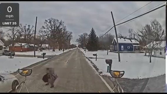Romulus student nearly hit by driver during school bus stop