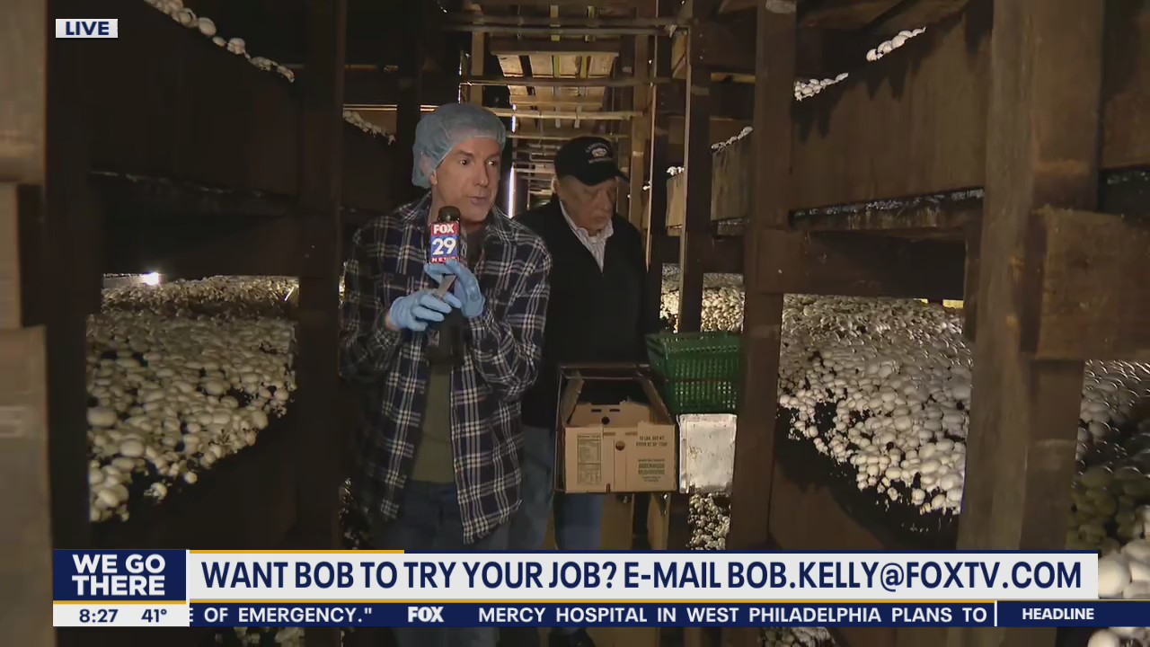 Bob on the Job: Greenwood Mushroom Farm