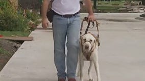 Care Force: New law could help veterans dealing with PTSD