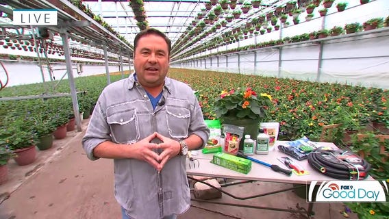 Must-have garden tools for spring in Minnesota