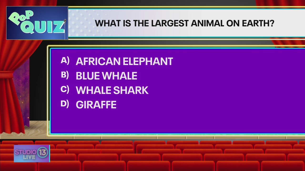 Pop Quiz: What is the largest animal on earth?