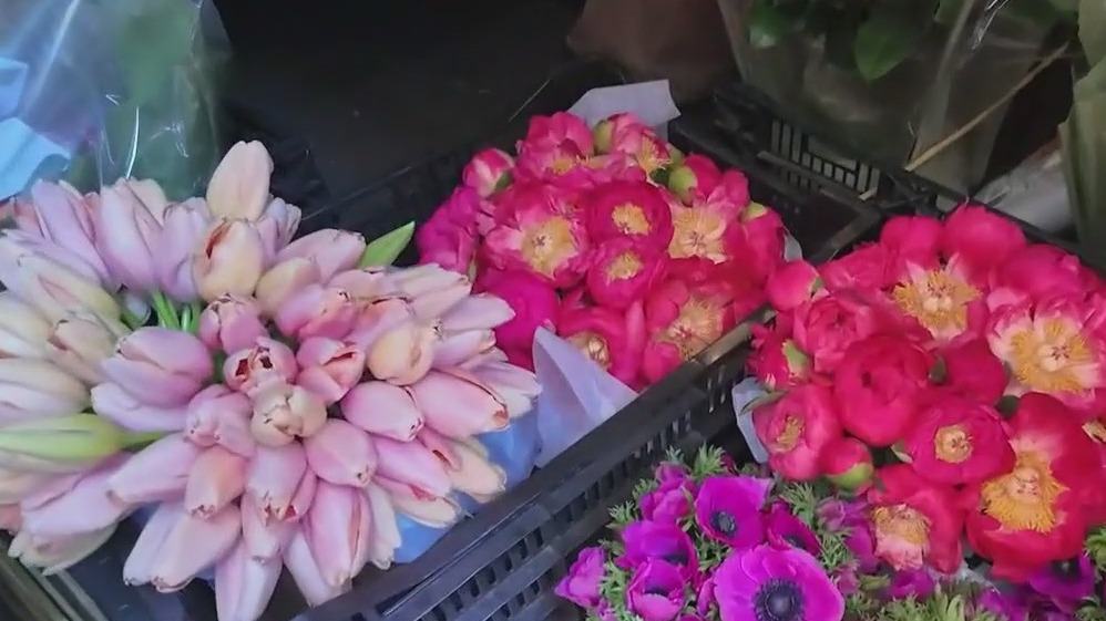 The ?lore? of Gen Z?s latest slang trend