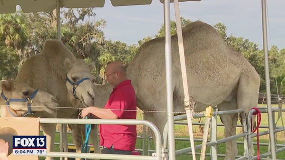 Keel Farms showcases 'Harvest Days'
