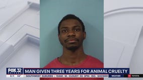 Hoffman Estates man sentenced to 3 years for animal abuse