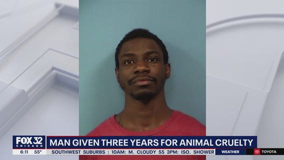 Hoffman Estates man sentenced to 3 years for animal abuse