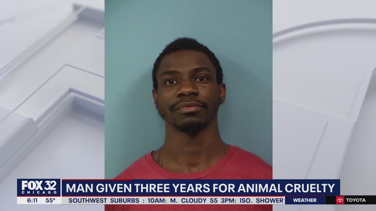 Hoffman Estates man sentenced to 3 years for animal abuse
