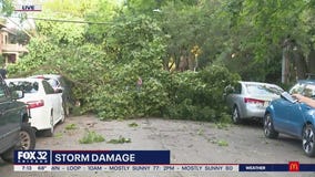 Storm damage clean-up begins around Chicagoland as clear skies return