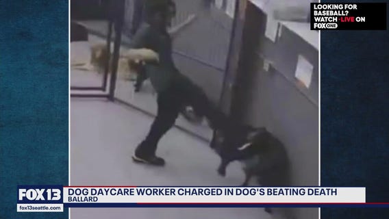 Ensuring justice in animal cruelty cases