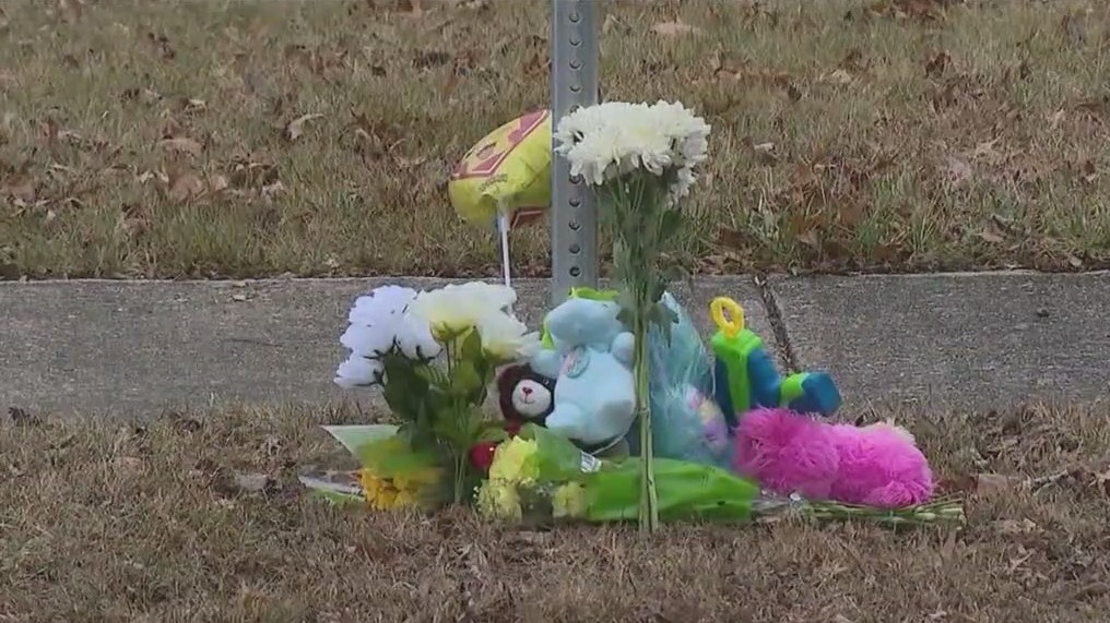 Lawsuit filed after Park Forest 7-year-old hit, killed by school bus