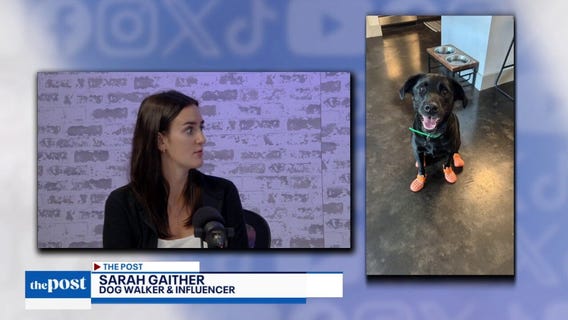 Viral Dallas Dog Walker | The Post